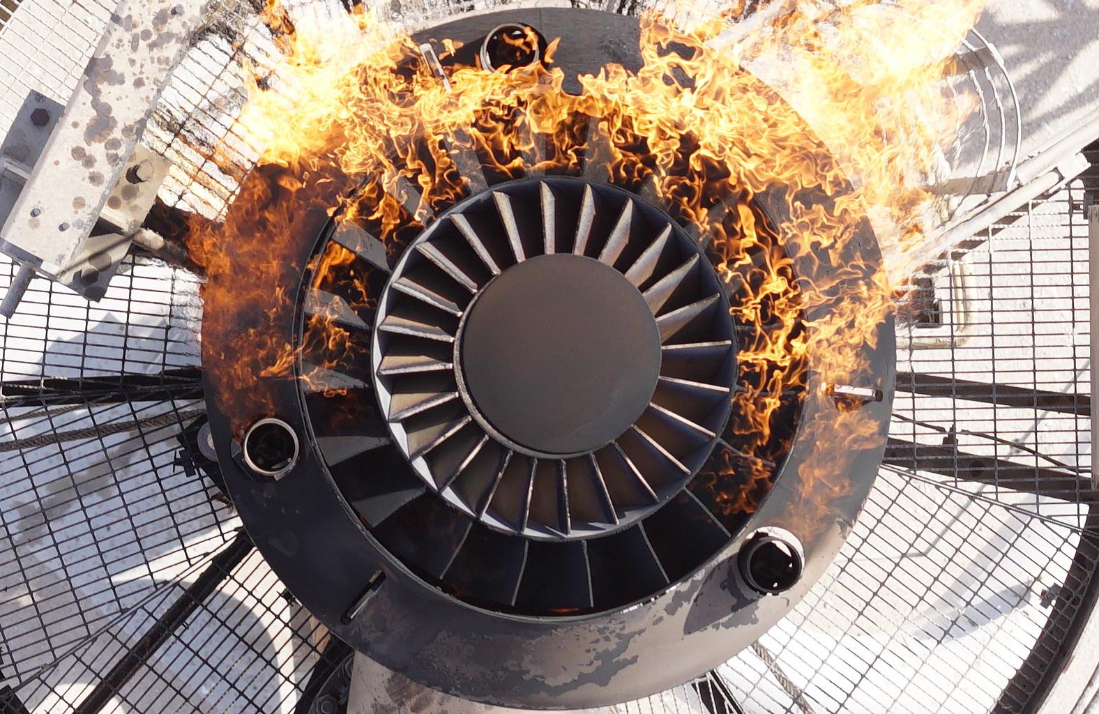 Live Flare Inspection Services
